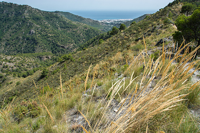 sierra de Tejeda