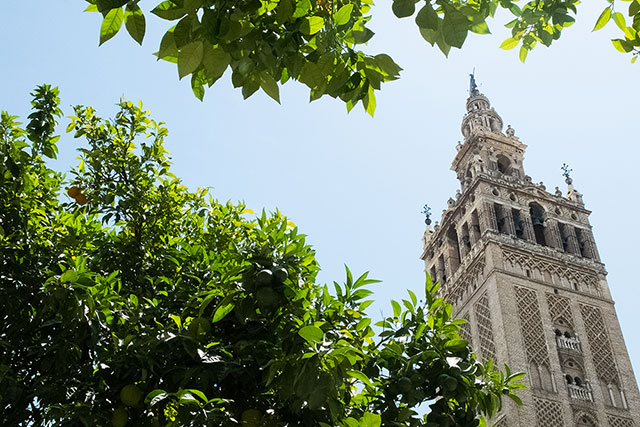 Giralda