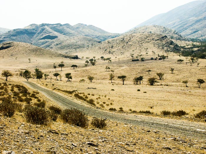 piste dans le Kaokoland piste dans le Kaokoland