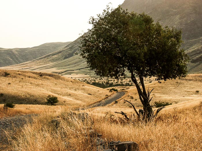 piste dans le Kaokoland piste dans le Kaokoland