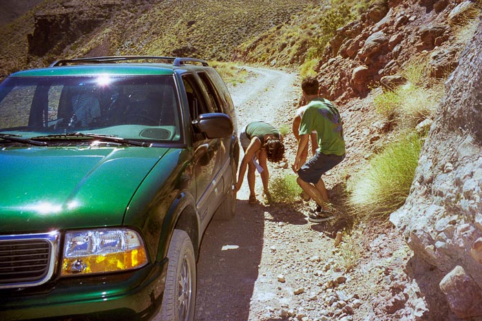 Piste de Titus Canyon
