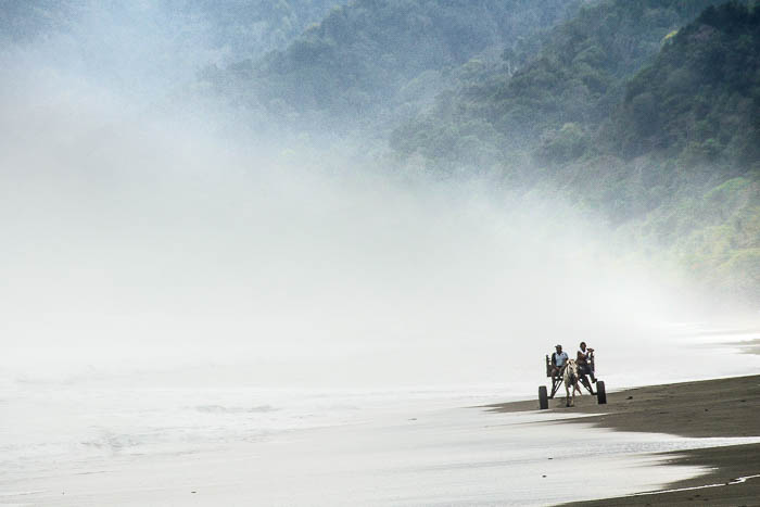 Cariole dans la brume