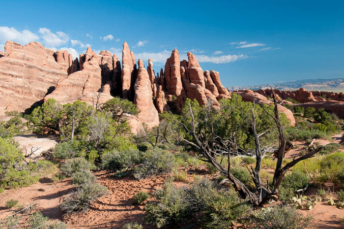 Devil's Garden Devil's Garden