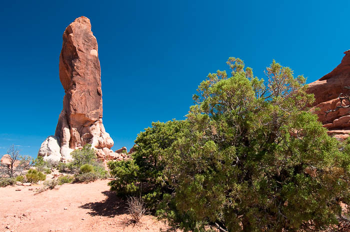 Dark Angel Dark Angel