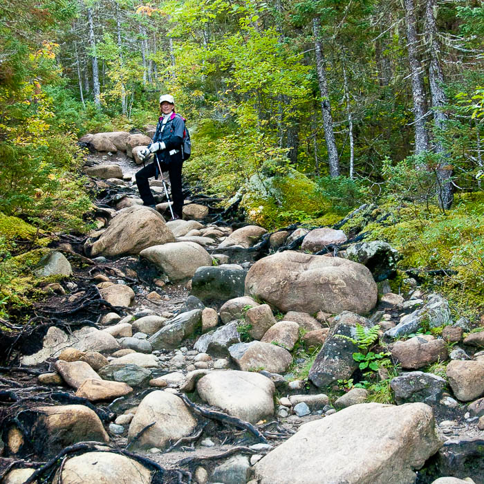 Chemin du Mont Albert