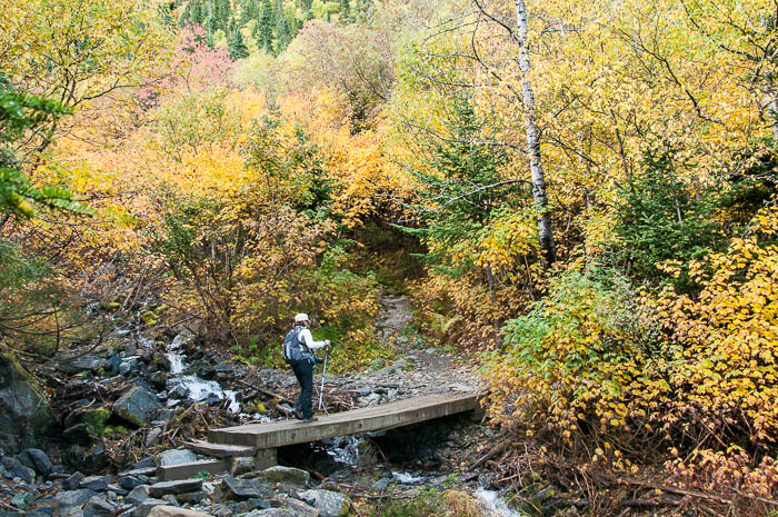 Chemin du Mont Albert