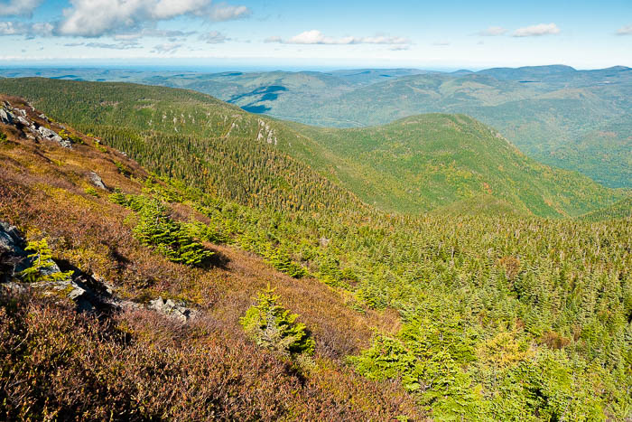 Paysage de Gaspésie