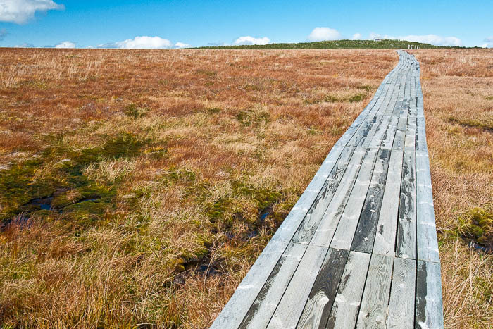 sommet du Mont Albert