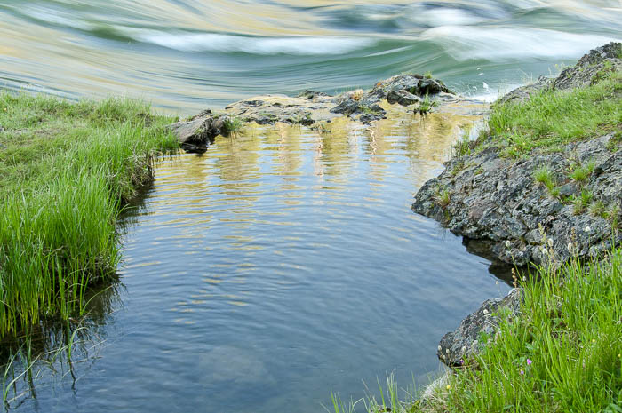 rivière Yellowstone