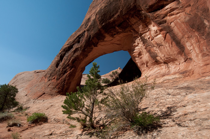Arches National Park