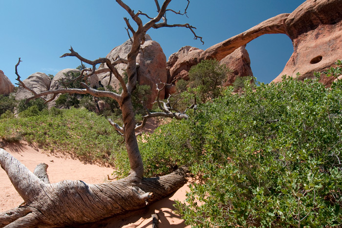 Arches National Park