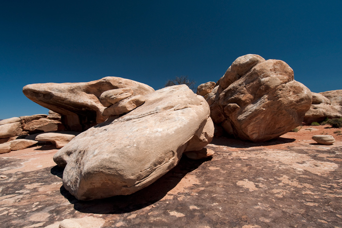 The Needles - Canyonlands National Park