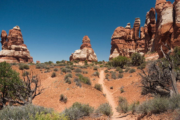 The Needles - Canyonlands National Park