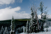 Yellowstone National Park