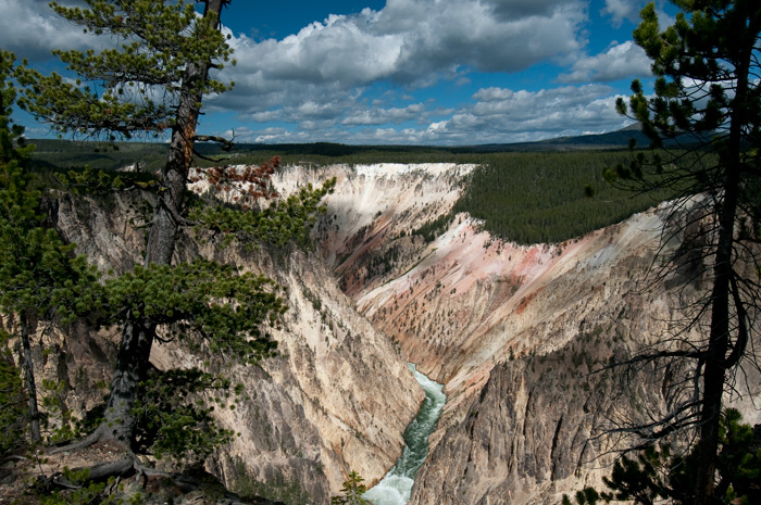 Yellowstone Canyon