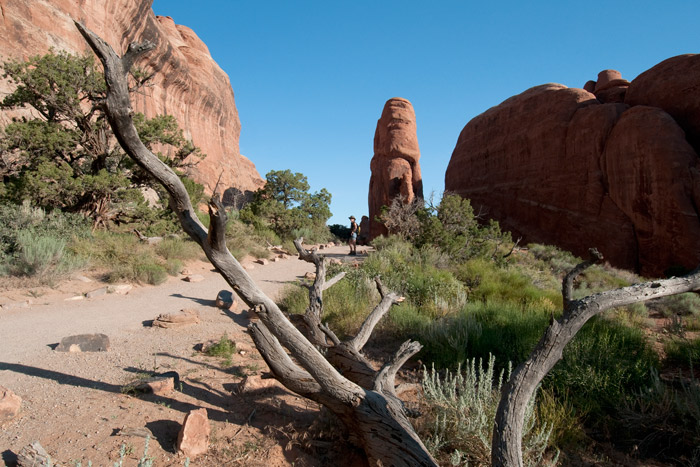 Devil's Garden