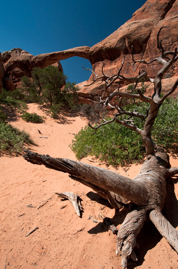 Double O Arch, Devil's Garden