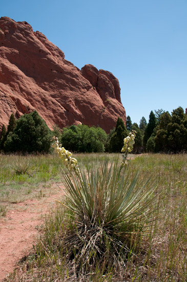 garden of the gods