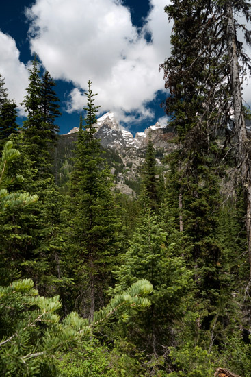 Grand Teton