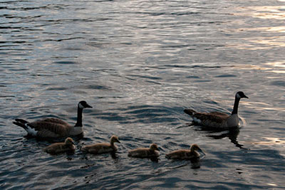 Grand Lake