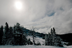 dunraven pass sous la neige