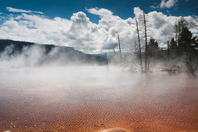 Mammoth hot springs