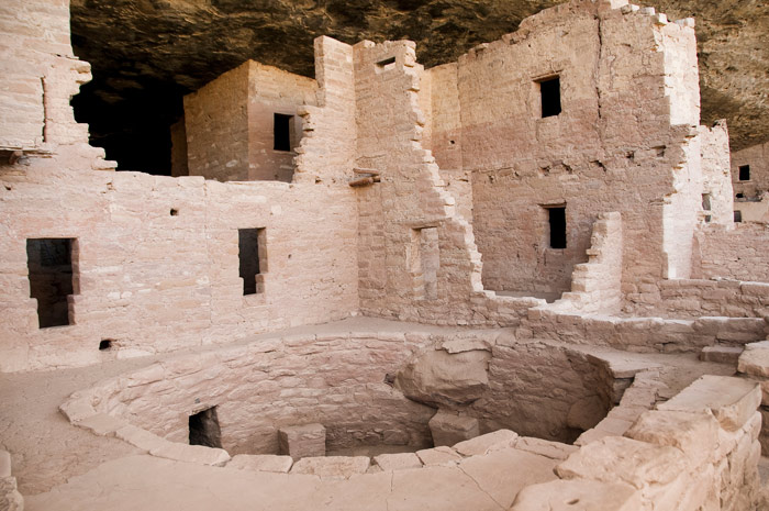 Spruce Tree House