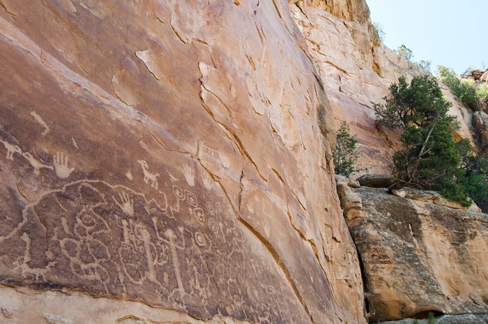 petroglyphes