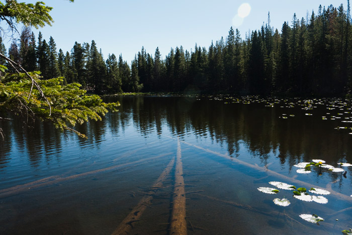 Nymph Lake