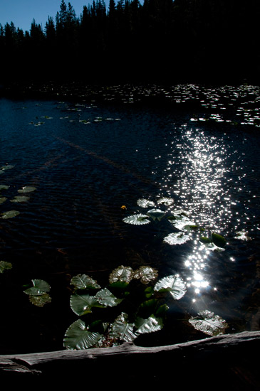 Nymph Lake