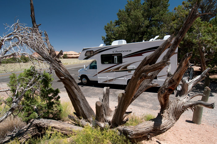 the Needles, squaw flat campground