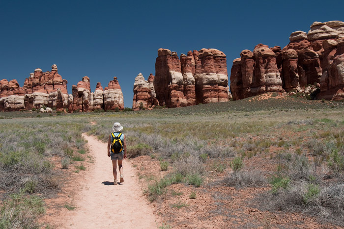 Chesler Park, the Needles