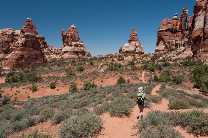 Chesler Park, the Needles