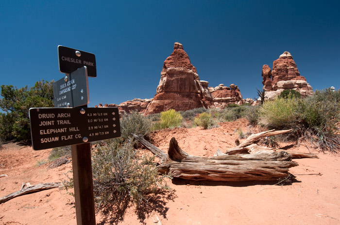 Chesler Park, the Needles