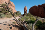 Arches National Park