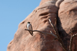 Arches National Park