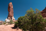 Arches National Park