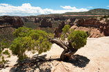 Colorado National Monument