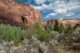 ute canyon