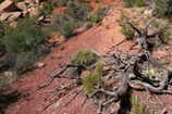 Colorado National Monument