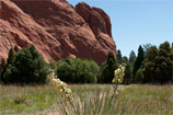 garden of the gods