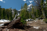 Grand Teton