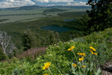 Grand Teton