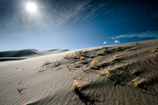 Great Sand Dunes National Park