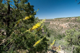 Mesa Verde National Park