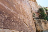 Mesa Verde National Park