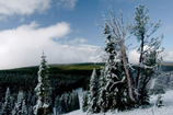 Dunraven Pass sous la neige