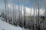 Dunraven Pass sous la neige