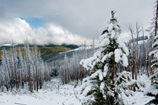 Dunraven Pass sous la neige