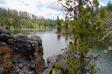 rivière entre Shoshone Lake et Lewis Lake